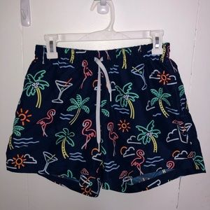 Chubbies “The Neon Lights” Swim Trunks